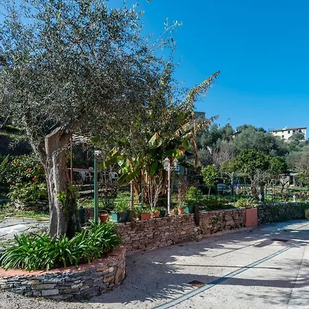 Casa Rosa, * 拉帕洛